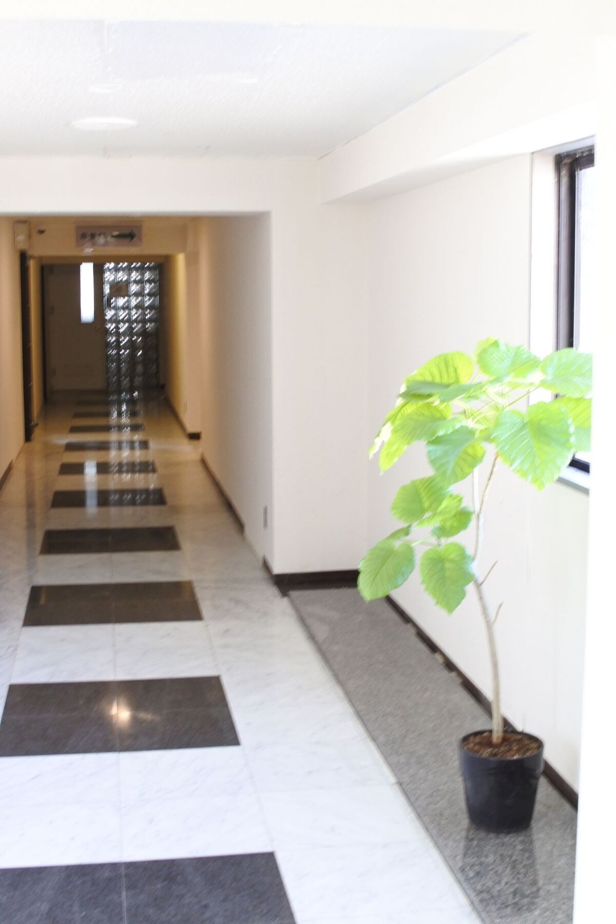 Kagoshima Guest House M104 - Hostel ภายนอก รูปภาพ